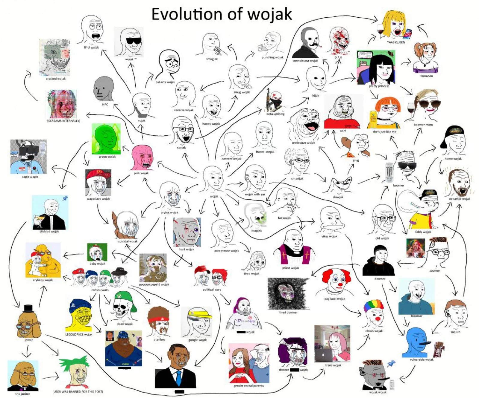 The evolution of Wojak